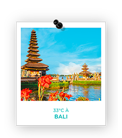 IMAO désodorisant 33°C a Bali turquoise Bali turquoise - Cdiscount Auto