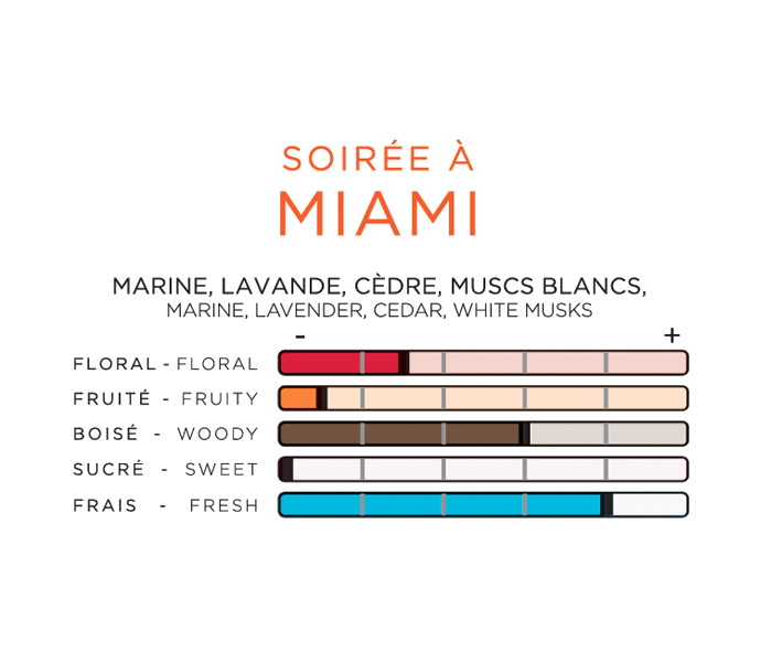 PARFUM D'AMBIANCE - SOIRÉE À MIAMI - IMAO - HAUT DE GAMME - BLANC -  France-Xenon